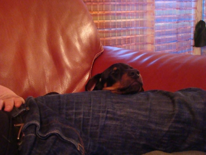 PORTEE 2009